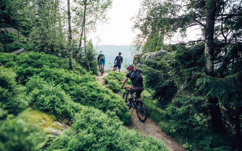 Mountain biking in the Harz Mountains (Photo: Christian Kreutzmann) Mountain biking in the Harz Mountains (Photo: Christian Kreutzmann)