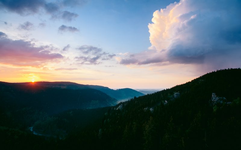 Harz Mountains (Photo: Astrid Abel) Harz Mountains (Photo: Astrid Abel)